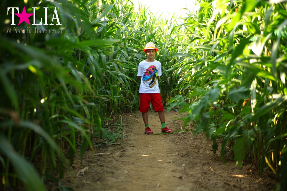 Кукурузный лабиринт и катание в бочках в HANK'S PUMPKINTOWN, the Hamptons, NY